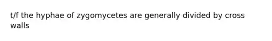 t/f the hyphae of zygomycetes are generally divided by cross walls