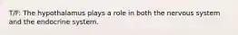 T/F: The hypothalamus plays a role in both the nervous system and the endocrine system.