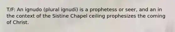 T/F: An ignudo (plural ignudi) is a prophetess or seer, and an in the context of the Sistine Chapel ceiling prophesizes the coming of Christ.