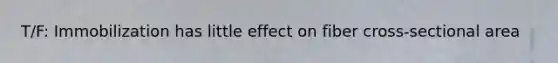 T/F: Immobilization has little effect on fiber cross-sectional area