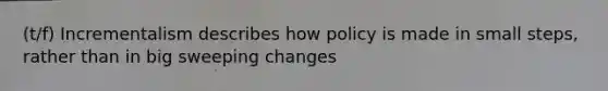 (t/f) Incrementalism describes how policy is made in small steps, rather than in big sweeping changes