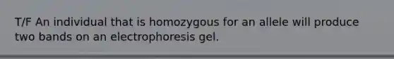 T/F An individual that is homozygous for an allele will produce two bands on an electrophoresis gel.