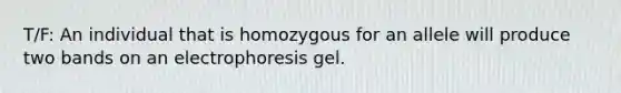 T/F: An individual that is homozygous for an allele will produce two bands on an electrophoresis gel.