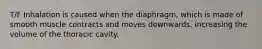 T/F Inhalation is caused when the diaphragm, which is made of smooth muscle contracts and moves downwards, increasing the volume of the thoracic cavity.