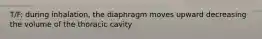 T/F: during inhalation, the diaphragm moves upward decreasing the volume of the thoracic cavity