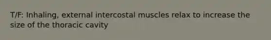 T/F: Inhaling, external intercostal muscles relax to increase the size of the thoracic cavity