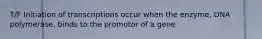T/F Initiation of transcriptions occur when the enzyme, DNA polymerase, binds to the promotor of a gene