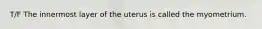 T/F The innermost layer of the uterus is called the myometrium.