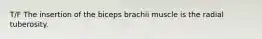 T/F The insertion of the biceps brachii muscle is the radial tuberosity.
