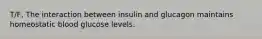 T/F, The interaction between insulin and glucagon maintains homeostatic blood glucose levels.