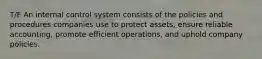 T/F An internal control system consists of the policies and procedures companies use to protect assets, ensure reliable accounting, promote efficient operations, and uphold company policies.