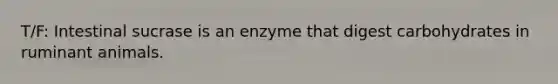 T/F: Intestinal sucrase is an enzyme that digest carbohydrates in ruminant animals.