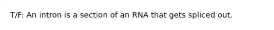 T/F: An intron is a section of an RNA that gets spliced out.