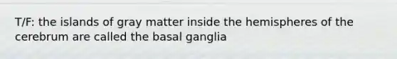 T/F: the islands of gray matter inside the hemispheres of the cerebrum are called the basal ganglia