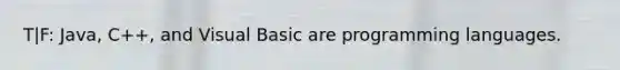 T|F: Java, C++, and Visual Basic are programming languages.