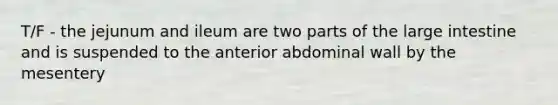 T/F - the jejunum and ileum are two parts of the <a href='https://www.questionai.com/knowledge/kGQjby07OK-large-intestine' class='anchor-knowledge'>large intestine</a> and is suspended to the anterior abdominal wall by the mesentery