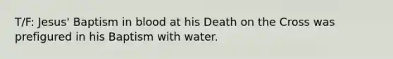 T/F: Jesus' Baptism in blood at his Death on the Cross was prefigured in his Baptism with water.