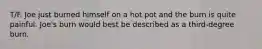 T/F. Joe just burned himself on a hot pot and the burn is quite painful. Joe's burn would best be described as a third-degree burn.