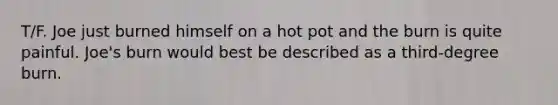 T/F. Joe just burned himself on a hot pot and the burn is quite painful. Joe's burn would best be described as a third-degree burn.