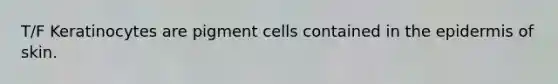 T/F Keratinocytes are pigment cells contained in the epidermis of skin.