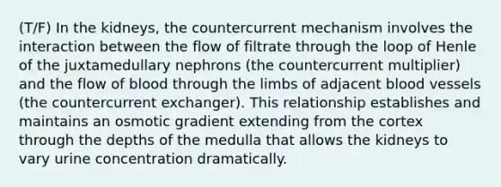 (T/F) In the kidneys, the countercurrent mechanism involves the interaction between the flow of filtrate through the loop of Henle of the juxtamedullary nephrons (the countercurrent multiplier) and the flow of blood through the limbs of adjacent <a href='https://www.questionai.com/knowledge/kZJ3mNKN7P-blood-vessels' class='anchor-knowledge'>blood vessels</a> (the countercurrent exchanger). This relationship establishes and maintains an osmotic gradient extending from the cortex through the depths of the medulla that allows the kidneys to vary urine concentration dramatically.