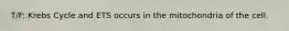T/F: Krebs Cycle and ETS occurs in the mitochondria of the cell.