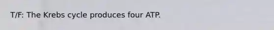 T/F: The <a href='https://www.questionai.com/knowledge/kqfW58SNl2-krebs-cycle' class='anchor-knowledge'>krebs cycle</a> produces four ATP.