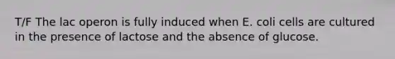 T/F The lac operon is fully induced when E. coli cells are cultured in the presence of lactose and the absence of glucose.