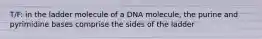 T/F: in the ladder molecule of a DNA molecule, the purine and pyrimidine bases comprise the sides of the ladder