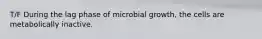 T/F During the lag phase of microbial growth, the cells are metabolically inactive.