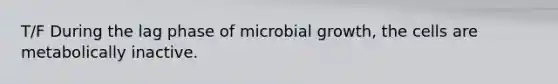 T/F During the lag phase of microbial growth, the cells are metabolically inactive.