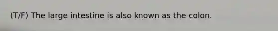 (T/F) The large intestine is also known as the colon.
