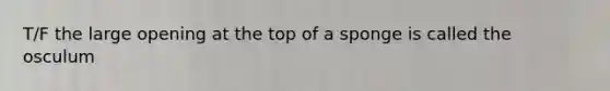 T/F the large opening at the top of a sponge is called the osculum