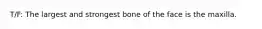 T/F: The largest and strongest bone of the face is the maxilla.