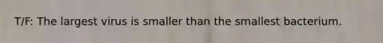 T/F: The largest virus is smaller than the smallest bacterium.