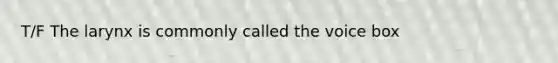 T/F The larynx is commonly called the voice box