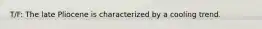 T/F: The late Pliocene is characterized by a cooling trend.