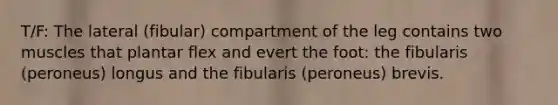 T/F: The lateral (fibular) compartment of the leg contains two muscles that plantar flex and evert the foot: the fibularis (peroneus) longus and the fibularis (peroneus) brevis.