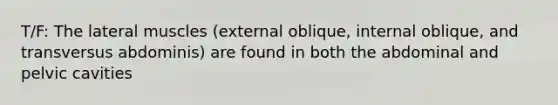 T/F: The lateral muscles (external oblique, internal oblique, and transversus abdominis) are found in both the abdominal and pelvic cavities