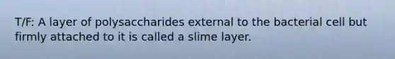 T/F: A layer of polysaccharides external to the bacterial cell but firmly attached to it is called a slime layer.