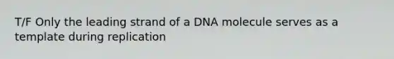 T/F Only the leading strand of a DNA molecule serves as a template during replication