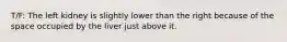 T/F: The left kidney is slightly lower than the right because of the space occupied by the liver just above it.
