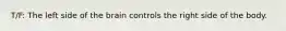 T/F: The left side of the brain controls the right side of the body.