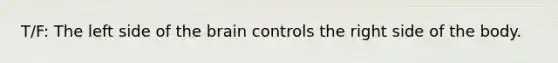 T/F: The left side of the brain controls the right side of the body.