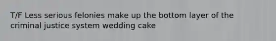 T/F Less serious felonies make up the bottom layer of the criminal justice system wedding cake