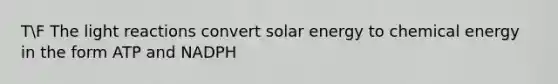 TF The light reactions convert solar energy to chemical energy in the form ATP and NADPH