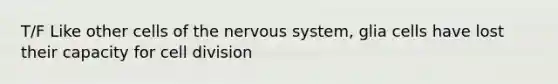 T/F Like other cells of the nervous system, glia cells have lost their capacity for cell division