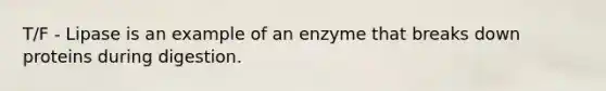 T/F - Lipase is an example of an enzyme that breaks down proteins during digestion.