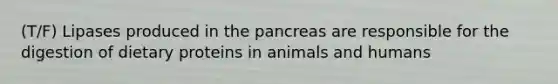 (T/F) Lipases produced in the pancreas are responsible for the digestion of dietary proteins in animals and humans