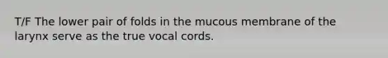 T/F The lower pair of folds in the mucous membrane of the larynx serve as the true vocal cords.